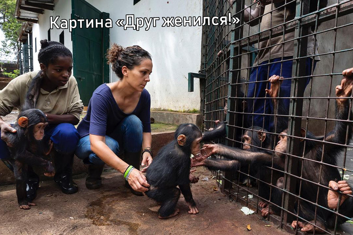 ���� �������