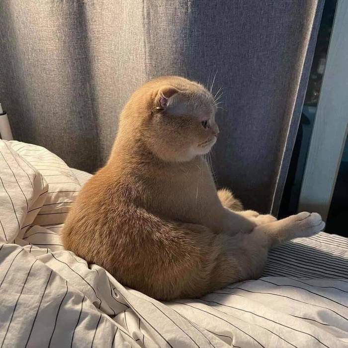 ,  , 