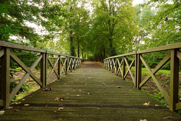 Осень в Голландии