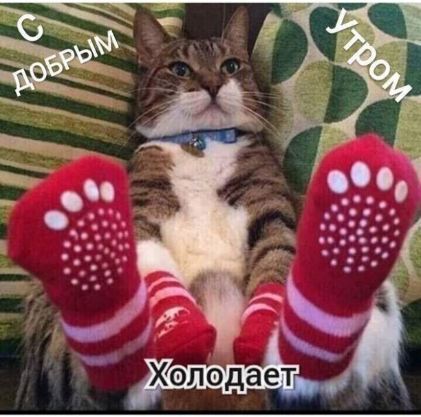 милота зашкаливает что значит. Смотреть фото милота зашкаливает что значит. Смотреть картинку милота зашкаливает что значит. Картинка про милота зашкаливает что значит. Фото милота зашкаливает что значит