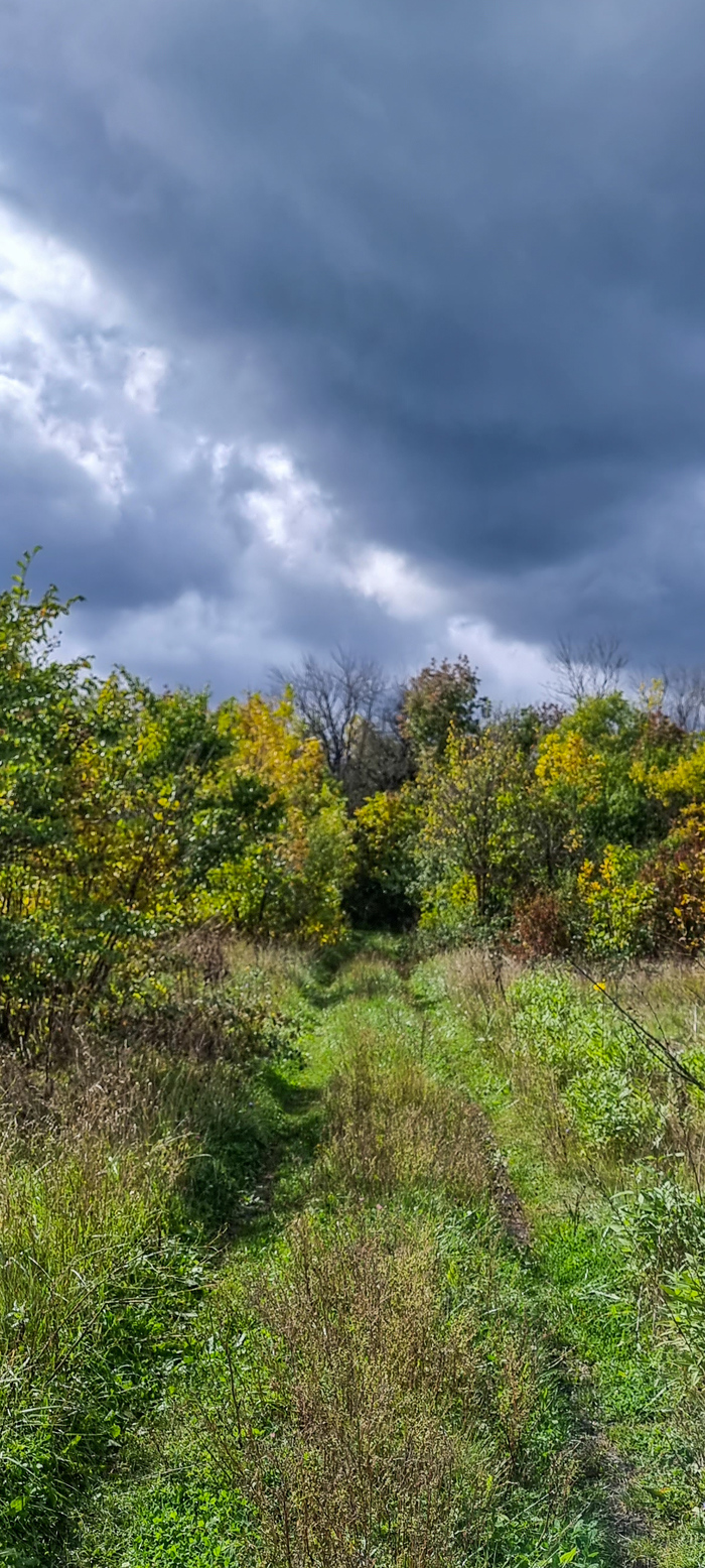 ����� �����