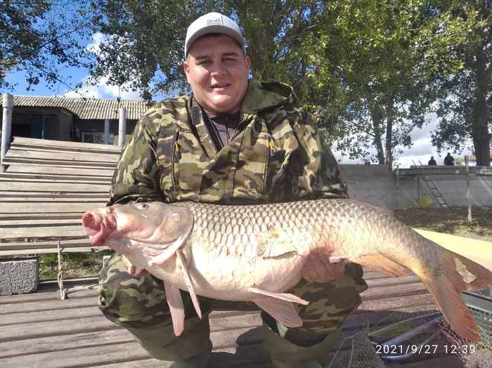 Платная рыбалка биг карп. Carp Hunting.