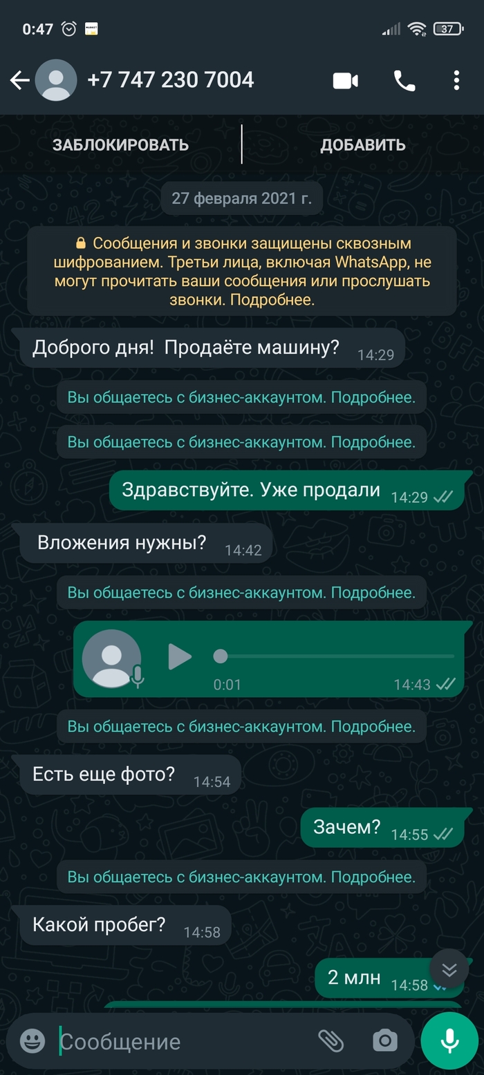 WhatsApp: истории из жизни, советы, новости, юмор и картинки — Все посты,  страница 2 | Пикабу