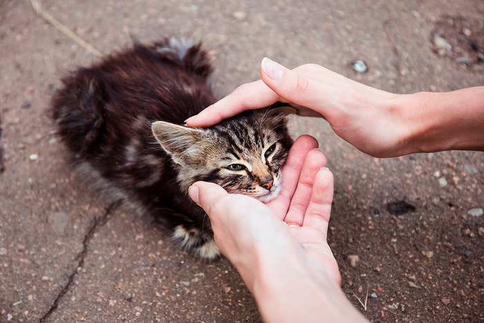 ����� ������� ����������� - ��� ��, ��� �� ���� ��������� ����� �������