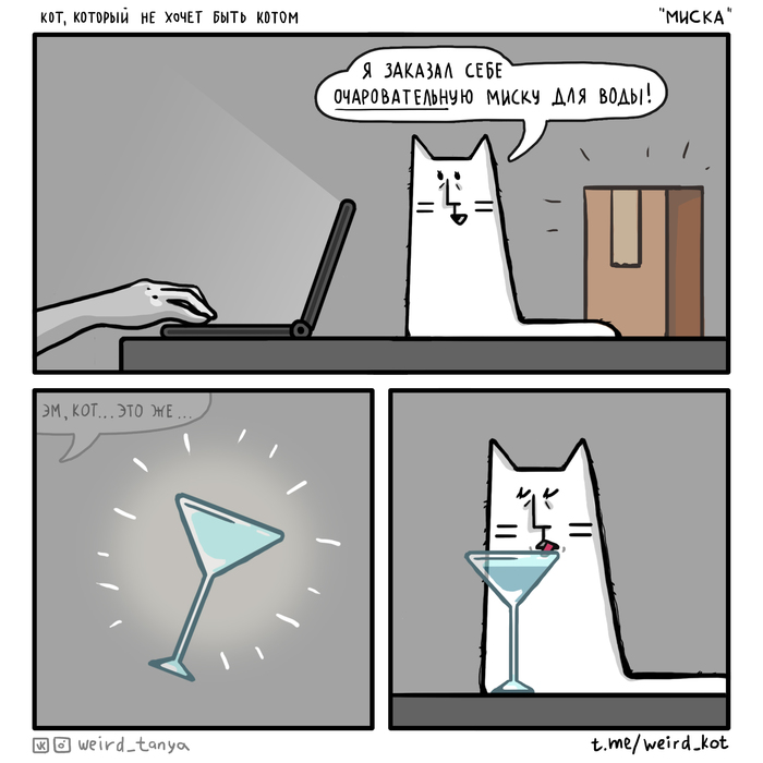 Кот, который не хочет быть котом #45 "Миска"