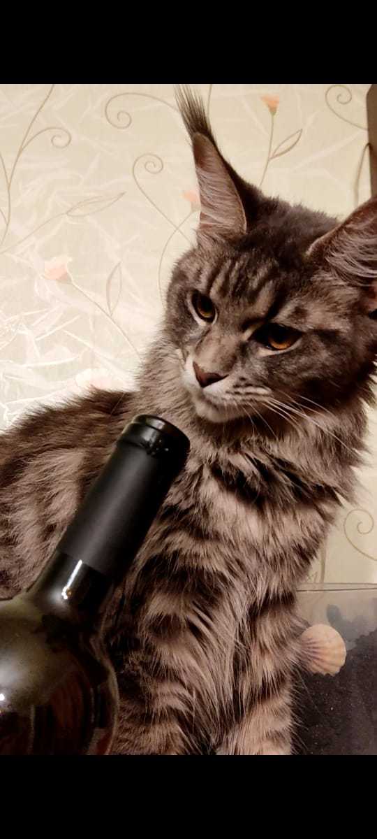 ���������� ��������� �������������� ���� ������