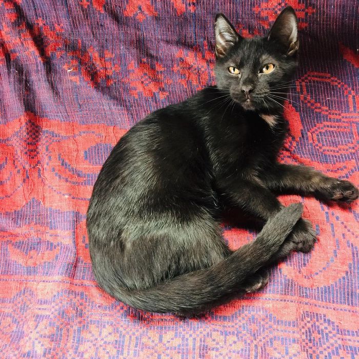 ΠΊΠ°ΠΊΠ°Ρ ΡΠ°Π·Π½ΠΈΡΠ° ΠΌΠ΅ΠΆΠ΄Ρ Π±ΠΎΡΠ΄ΡΡΠΎΠΌ ΠΈ ΠΏΠΎΡΠ΅Π±ΡΠΈΠΊΠΎΠΌ. Π‘ΠΌΠΎΡΡΠ΅ΡΡ ΡΠΎΡΠΎ ΠΊΠ°ΠΊΠ°Ρ ΡΠ°Π·Π½ΠΈΡΠ° ΠΌΠ΅ΠΆΠ΄Ρ Π±ΠΎΡΠ΄ΡΡΠΎΠΌ ΠΈ ΠΏΠΎΡΠ΅Π±ΡΠΈΠΊΠΎΠΌ. Π‘ΠΌΠΎΡΡΠ΅ΡΡ ΠΊΠ°ΡΡΠΈΠ½ΠΊΡ ΠΊΠ°ΠΊΠ°Ρ ΡΠ°Π·Π½ΠΈΡΠ° ΠΌΠ΅ΠΆΠ΄Ρ Π±ΠΎΡΠ΄ΡΡΠΎΠΌ ΠΈ ΠΏΠΎΡΠ΅Π±ΡΠΈΠΊΠΎΠΌ. ΠΠ°ΡΡΠΈΠ½ΠΊΠ° ΠΏΡΠΎ ΠΊΠ°ΠΊΠ°Ρ ΡΠ°Π·Π½ΠΈΡΠ° ΠΌΠ΅ΠΆΠ΄Ρ Π±ΠΎΡΠ΄ΡΡΠΎΠΌ ΠΈ ΠΏΠΎΡΠ΅Π±ΡΠΈΠΊΠΎΠΌ. Π€ΠΎΡΠΎ ΠΊΠ°ΠΊΠ°Ρ ΡΠ°Π·Π½ΠΈΡΠ° ΠΌΠ΅ΠΆΠ΄Ρ Π±ΠΎΡΠ΄ΡΡΠΎΠΌ ΠΈ ΠΏΠΎΡΠ΅Π±ΡΠΈΠΊΠΎΠΌ ΠΊΠ°ΠΊΠ°Ρ ΡΠ°Π·Π½ΠΈΡΠ° ΠΌΠ΅ΠΆΠ΄Ρ Π±ΠΎΡΠ΄ΡΡΠΎΠΌ ΠΈ ΠΏΠΎΡΠ΅Π±ΡΠΈΠΊΠΎΠΌ. Π‘ΠΌΠΎΡΡΠ΅ΡΡ ΡΠΎΡΠΎ ΠΊΠ°ΠΊΠ°Ρ ΡΠ°Π·Π½ΠΈΡΠ° ΠΌΠ΅ΠΆΠ΄Ρ Π±ΠΎΡΠ΄ΡΡΠΎΠΌ ΠΈ ΠΏΠΎΡΠ΅Π±ΡΠΈΠΊΠΎΠΌ. Π‘ΠΌΠΎΡΡΠ΅ΡΡ ΠΊΠ°ΡΡΠΈΠ½ΠΊΡ ΠΊΠ°ΠΊΠ°Ρ ΡΠ°Π·Π½ΠΈΡΠ° ΠΌΠ΅ΠΆΠ΄Ρ Π±ΠΎΡΠ΄ΡΡΠΎΠΌ ΠΈ ΠΏΠΎΡΠ΅Π±ΡΠΈΠΊΠΎΠΌ. ΠΠ°ΡΡΠΈΠ½ΠΊΠ° ΠΏΡΠΎ ΠΊΠ°ΠΊΠ°Ρ ΡΠ°Π·Π½ΠΈΡΠ° ΠΌΠ΅ΠΆΠ΄Ρ Π±ΠΎΡΠ΄ΡΡΠΎΠΌ ΠΈ ΠΏΠΎΡΠ΅Π±ΡΠΈΠΊΠΎΠΌ. Π€ΠΎΡΠΎ ΠΊΠ°ΠΊΠ°Ρ ΡΠ°Π·Π½ΠΈΡΠ° ΠΌΠ΅ΠΆΠ΄Ρ Π±ΠΎΡΠ΄ΡΡΠΎΠΌ ΠΈ ΠΏΠΎΡΠ΅Π±ΡΠΈΠΊΠΎΠΌ