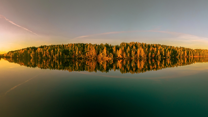 ����� � �����������