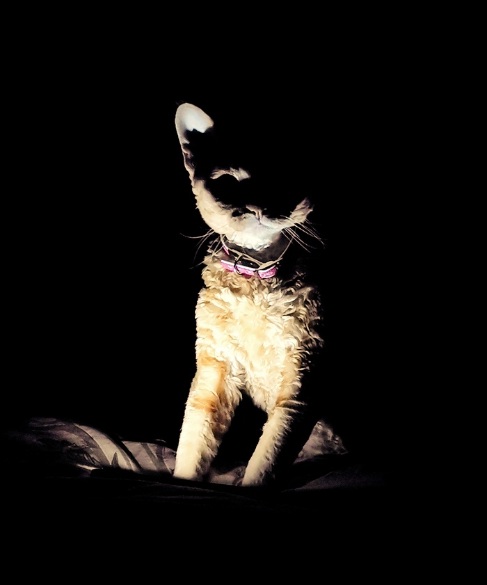 � �������� ��� �������� �������...