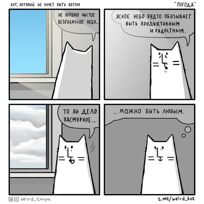 Кот, который не хочет быть котом #46 "Погода"