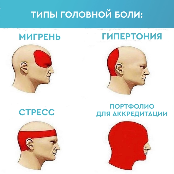 что делать если рядом анаконда. Смотреть фото что делать если рядом анаконда. Смотреть картинку что делать если рядом анаконда. Картинка про что делать если рядом анаконда. Фото что делать если рядом анаконда