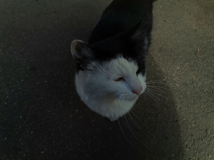 �����, ������