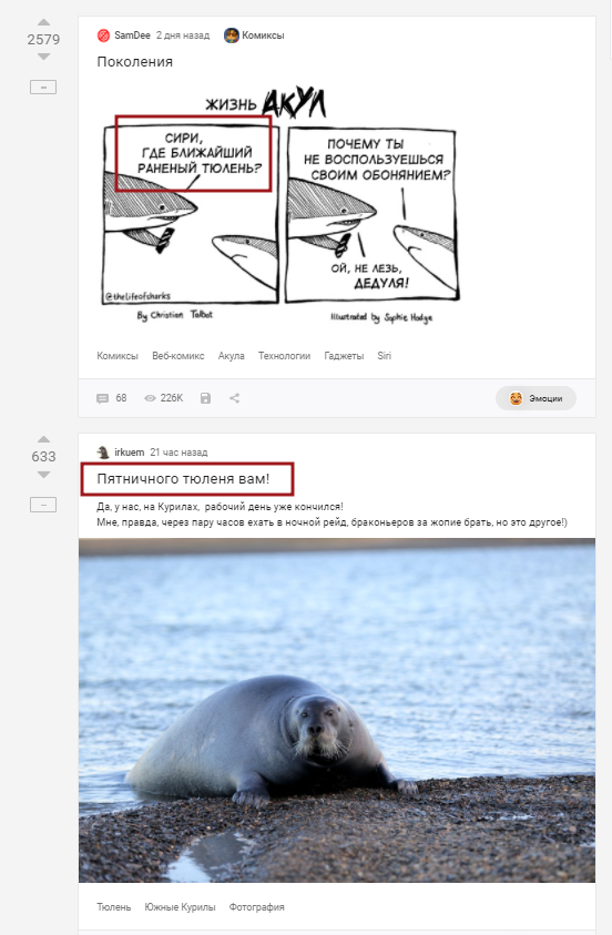 ��� ��� ��� �����.. ����� �����