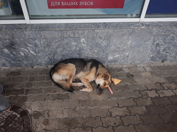 ������ � ����