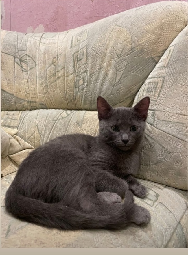  , .  &quot;&quot;  ?)