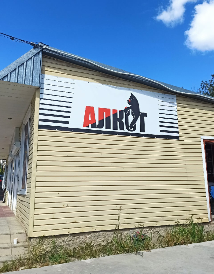 Когда ты и сам своего рода - кот