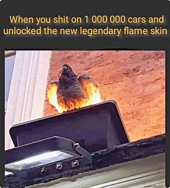    1000000       , , 