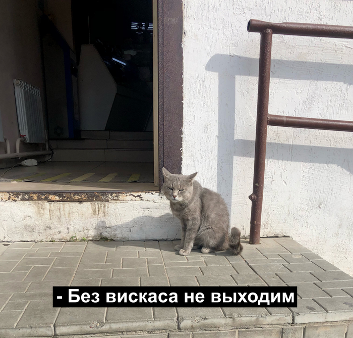   , , , , , 