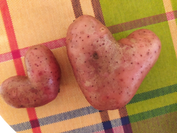 Валентинки с ежегодного work&fitnes челенжа