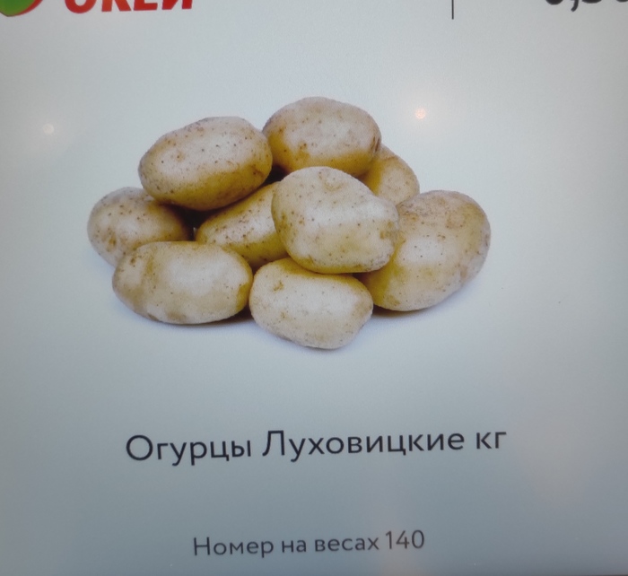 Для чего огурцам пупырышки. Смотреть фото Для чего огурцам пупырышки. Смотреть картинку Для чего огурцам пупырышки. Картинка про Для чего огурцам пупырышки. Фото Для чего огурцам пупырышки