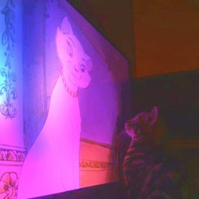 ������� �� ������ 2049