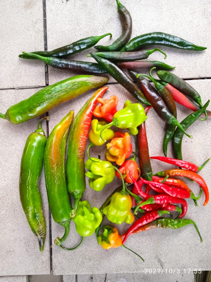 Осеннее ассорти для любителей острого