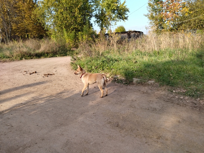 ����� ������ �� �����? �����