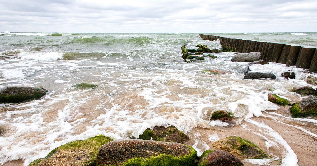 Море в зеленоградске сейчас. Балтийское море Зеленоградск. Шторм в Зеленоградске. Балтийское побережье после шторма. Балтийское море зимой Зеленоградск.