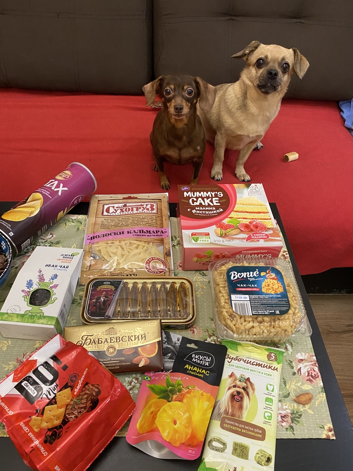 Гастрообмен 2021. Кудрово, Ленинградская область - Петергоф, Санкт-Петербург