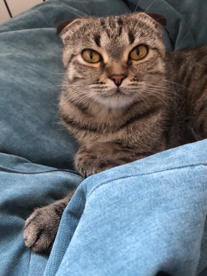   ? ,   , ,  ,  , , ,  