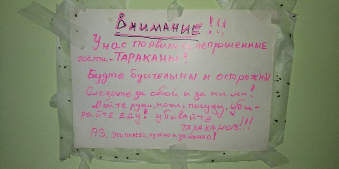 Кто сталкивался с таким?