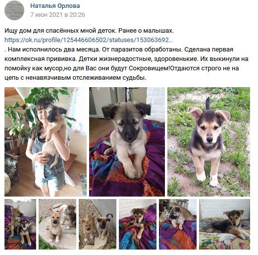 такая собака умеет находить потерянные вещи 6. Смотреть фото такая собака умеет находить потерянные вещи 6. Смотреть картинку такая собака умеет находить потерянные вещи 6. Картинка про такая собака умеет находить потерянные вещи 6. Фото такая собака умеет находить потерянные вещи 6