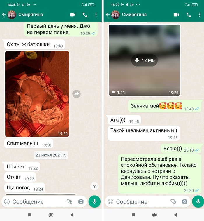 такая собака умеет находить потерянные вещи 6. Смотреть фото такая собака умеет находить потерянные вещи 6. Смотреть картинку такая собака умеет находить потерянные вещи 6. Картинка про такая собака умеет находить потерянные вещи 6. Фото такая собака умеет находить потерянные вещи 6