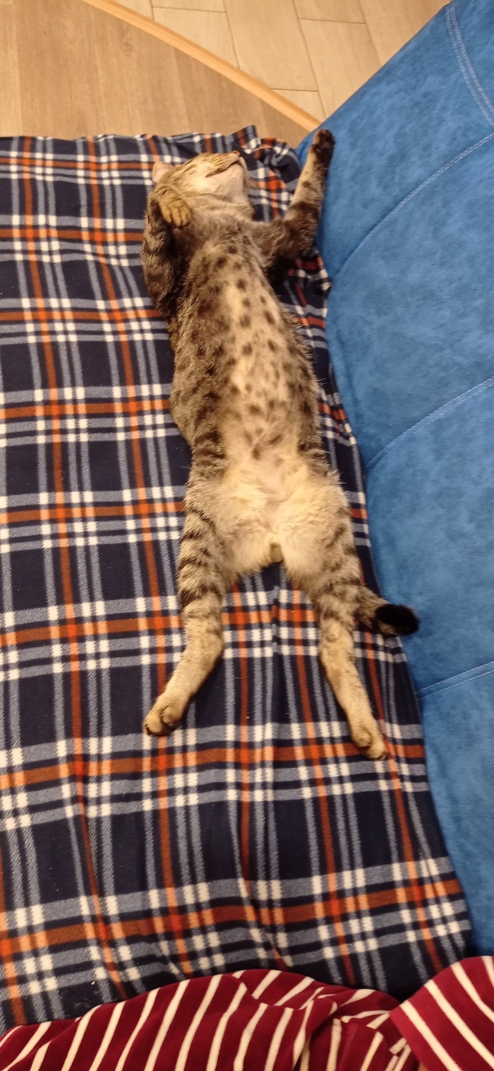  , , 