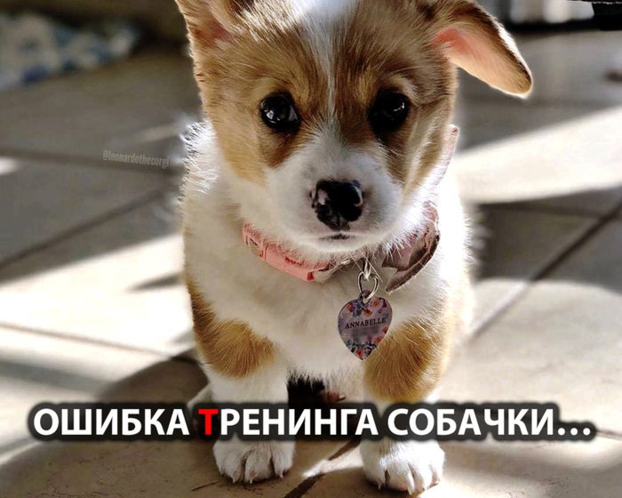   ȅ , , , , , 