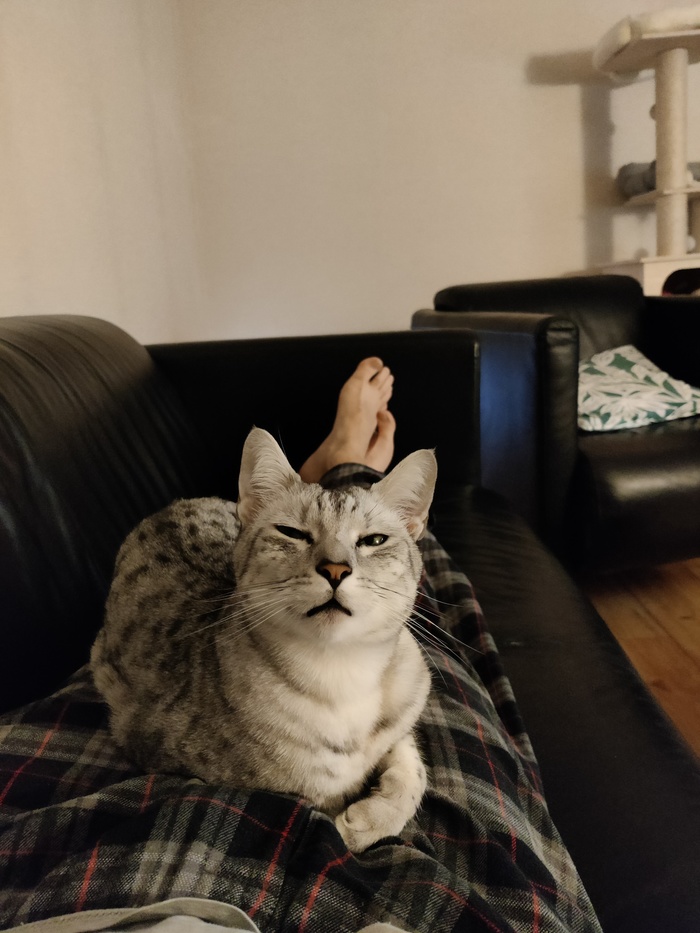 ������ �� �������