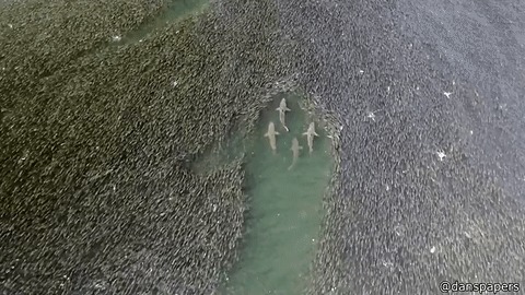   , , , 