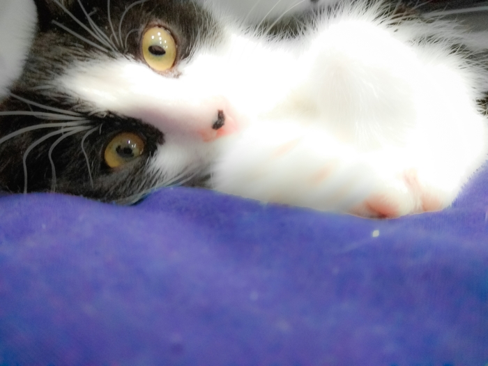 ������� �������� � ���)