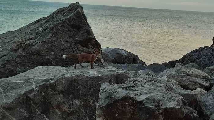 Нашли в воде что то невообразимое. Смотреть фото Нашли в воде что то невообразимое. Смотреть картинку Нашли в воде что то невообразимое. Картинка про Нашли в воде что то невообразимое. Фото Нашли в воде что то невообразимое