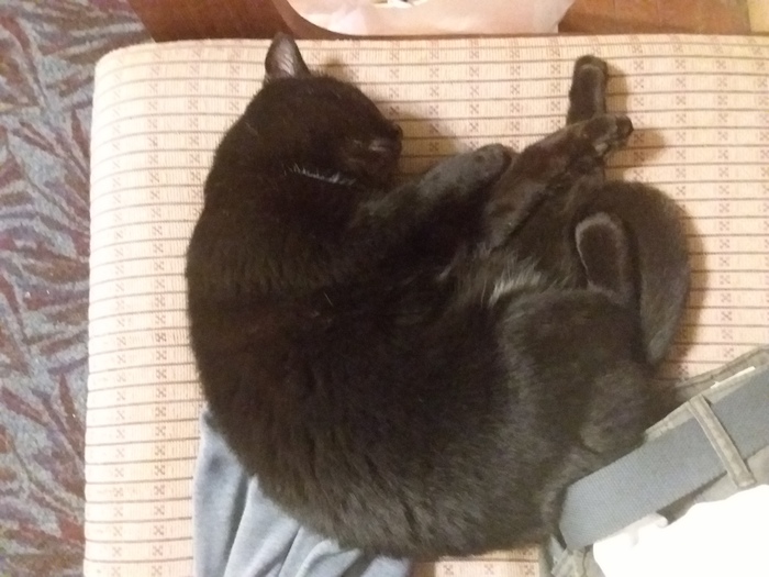 ������������ ����������� �����, �������