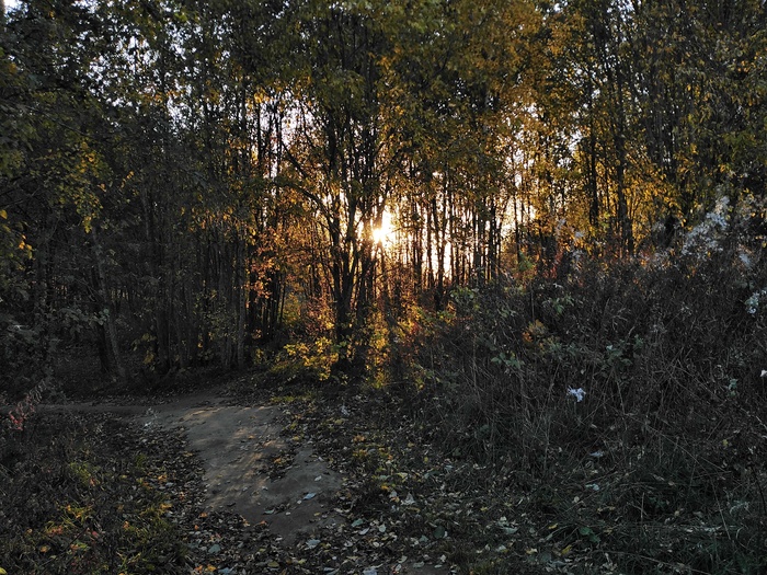   , , , ,  , 