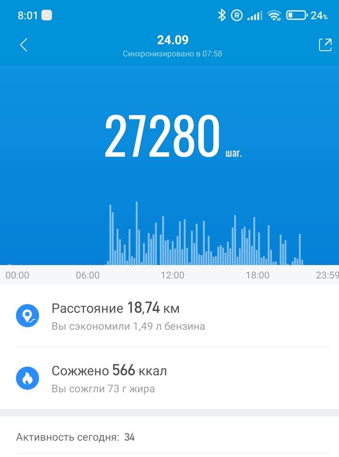 "Тюлений" отдых и шагомер