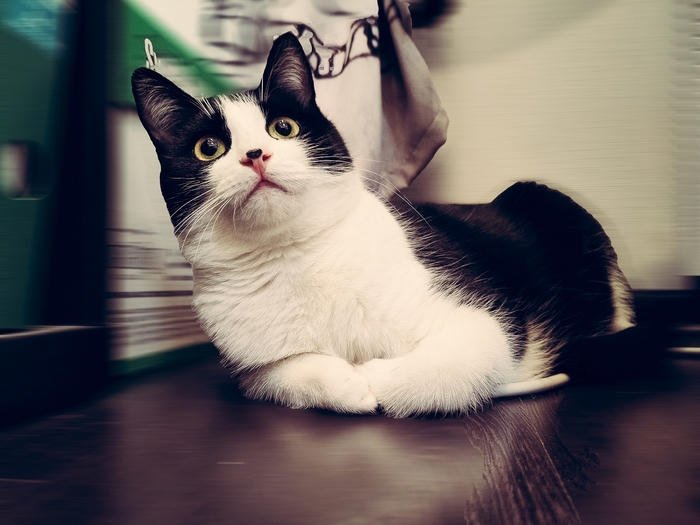 ����������� ������