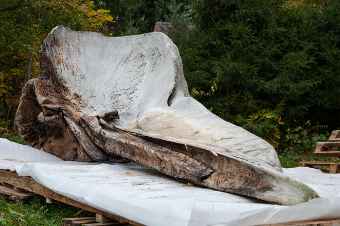 ����� �������� ��������� � ����� � ������