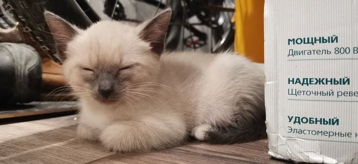 ���������, �� ������