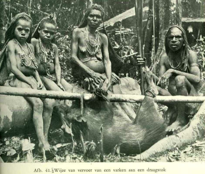 Уникальное племя, которое не признает какого-либо управления, равнодушно к половой жизни, а свиней использует… вместо собак Папуа-Новая Гвинея, Интересное, Племена, Мир, Нравы, Люди, Длиннопост