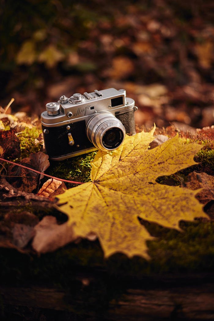 1633778892134614108 для чего нужны щупальца