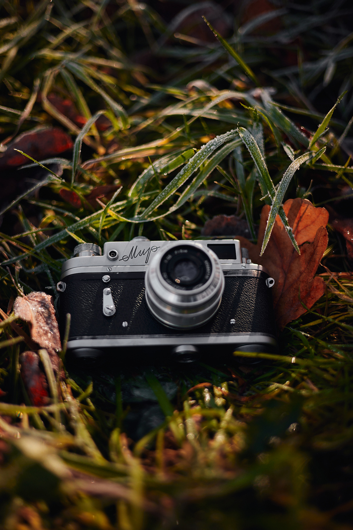 1633778897123076741 для чего нужны щупальца