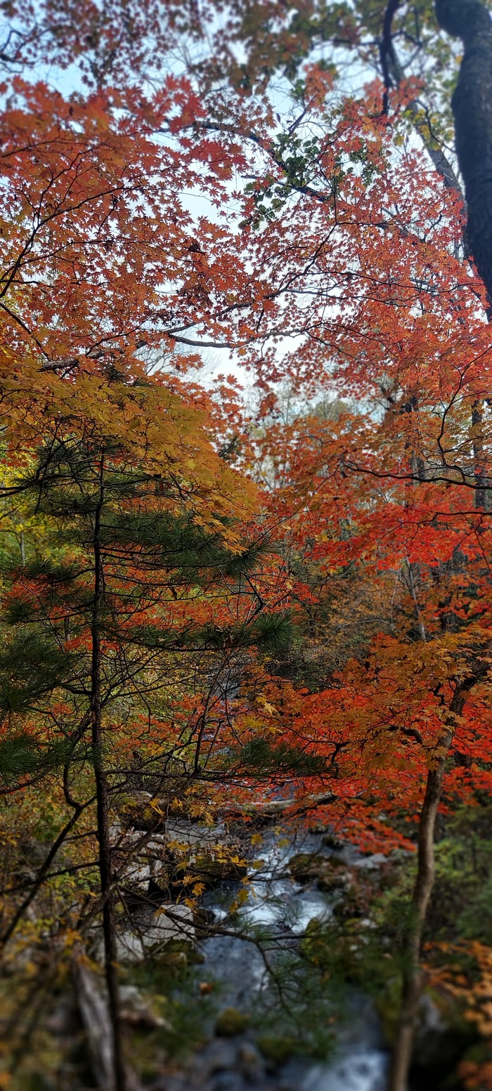 Осеннее приморье