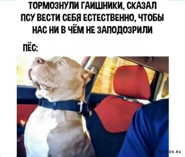 Естественность